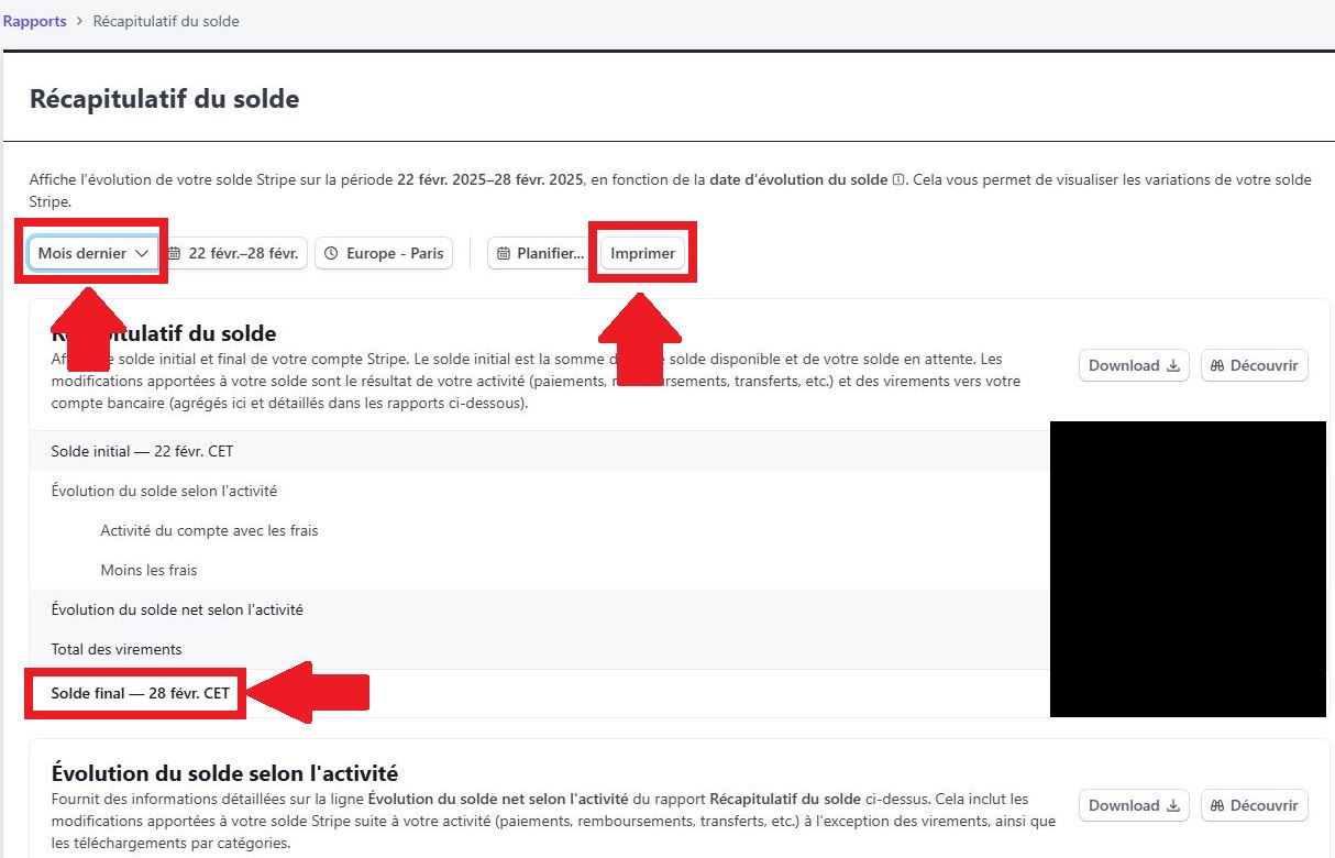 STRIPE Export transaction 3